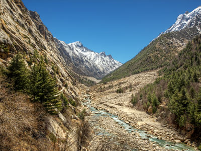 Gangotri - Gaumukh Trail
